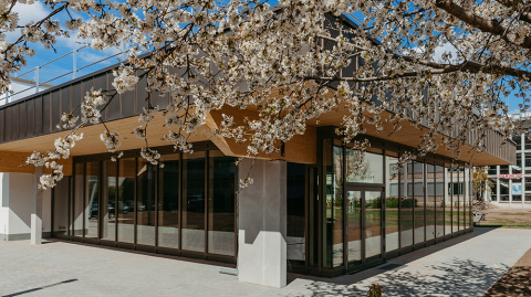 Student centre on the campus at Universitätsplatz, with flowering branches in the foreground (c) Jana Dünnhaupt_University of Magdeburg